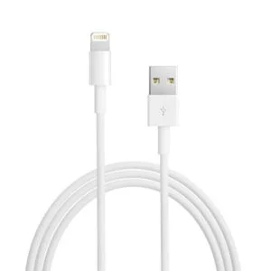 Cable Apple - Lightning to USB - 2M